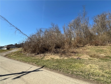 0 E Harvey Ave, Masontown, PA 15461 - photo 3