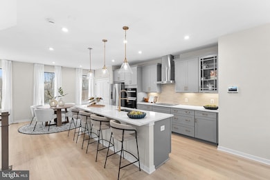 2460 Mystic Maroon Terrace, Ashburn, VA 20147 - photo 4