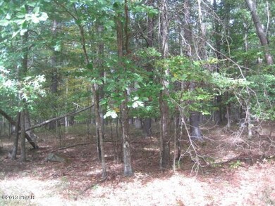 Lot 692 Club House Dr, Lackawaxen Township, PA 18428 - photo 6