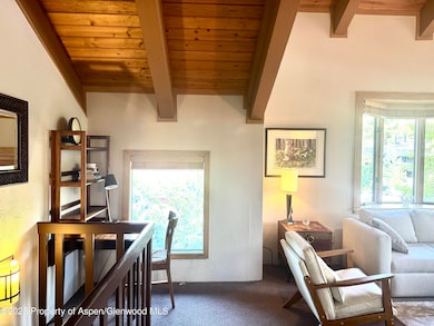 125 E Hyman Ave unit 1, Aspen, CO 81611 - photo 4