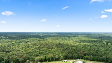 Tract 2 Styles Rd, Noel, MO 64854 - photo 6