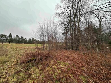 Lot 36 Fairway Dr, Pickerel, WI 54465 - photo 4