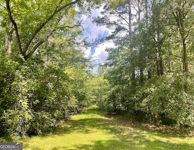 460 Welcome To Arnco Rd, Newnan, GA 30263 - photo 6