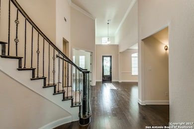 13419 Pecan Stable, Helotes, TX 78023 - photo 3