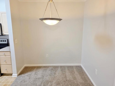 1300 Park West Blvd unit 804, Mount Pleasant, SC 29466 - photo 6