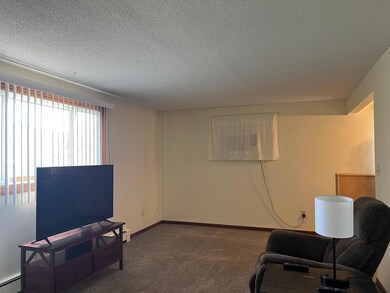 1239 3rd Ave SW, Rochester, MN 55902 - photo 7