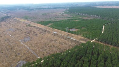 0 Newington Hwy unit 25460805, Sylvania, GA 30467 - photo 6