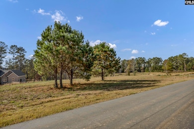 0 Adventure Bay unit 622668, Prosperity, SC 29127 - photo 2