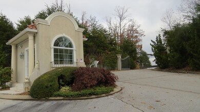 Balata for sale (72)