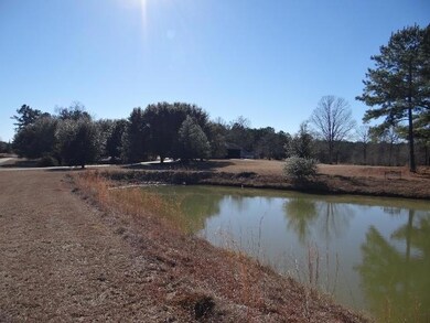 Pond