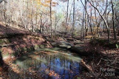 40+/- AC LOT 6 Hartness Rd, Clover, SC 29710 - photo 2