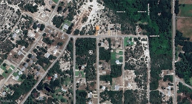 236 Patton Ave, Lake Placid, FL 33852 - photo 2