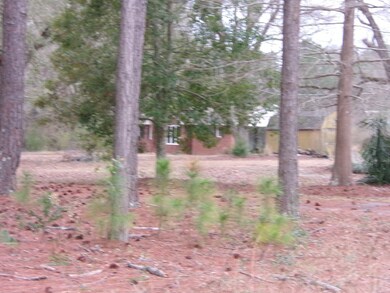 9 Success Dr, Enigma, GA 31749 - photo 2