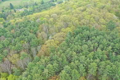 0 Kilkenny Rd, Unadilla, NY 13849 - photo 3