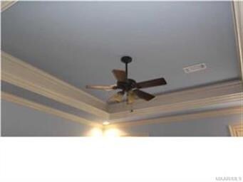 Double boxed trayed ceiling in the master bedroom.
