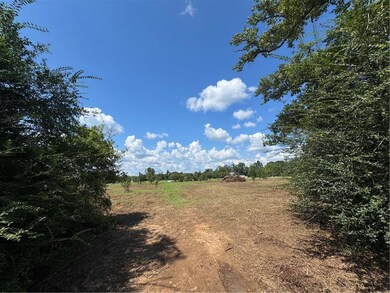 5.5 Acres Eaglesnest Ln, Franklinton, LA 70438 - photo 5