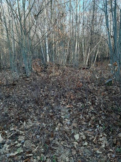 00 New Hampshire 25, Meredith, NH 03253 - photo 5