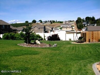 Back yard