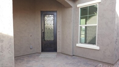 Iron Entry Door
