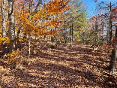 IMG_9196