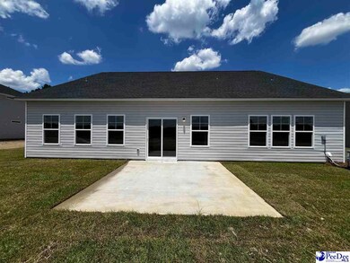 5114 E Old Marion Hwy (Dillon Ll-B2 Lot 29), Florence, SC 29506 - photo 3