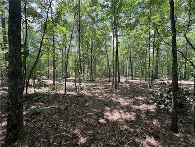 704 Old Highway 66, Leslie, AR 72645 - photo 3