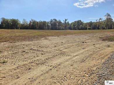 305 Carolina St, Monroe, LA 71202 - photo 5