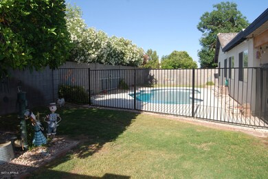Backyard1