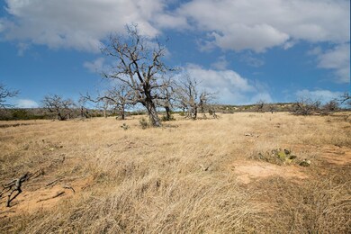 1 E Lower Crabapple Rd unit 1, Fredericksburg, TX 78624 - photo 7