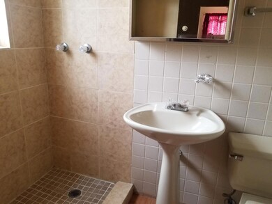 233 Mccarthy Ave, El Paso, TX 79915 - photo 7