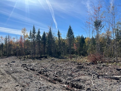 - Canaan Hill Rd, Canaan, VT 05903 - photo 3