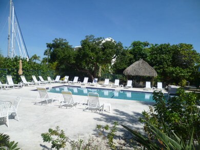 Large Pool Area