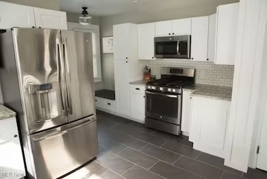 24 Swan St, Geneva, OH 44041 - photo 7