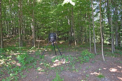 animal feeding station