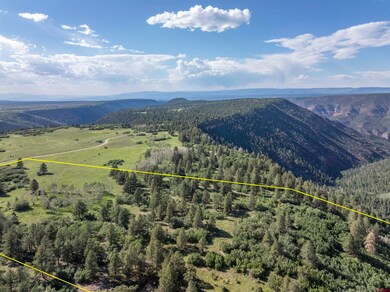 1151 Dr, Placerville, CO 81430 - photo 6