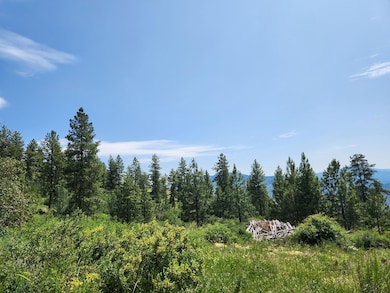 0 Tbd Roundabout Rd unit 23912009, Tonasket, WA 98855 - photo 2