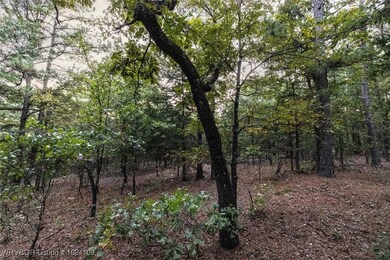 TBD NE 120th Rd, Red Oak, OK 74563 - photo 6