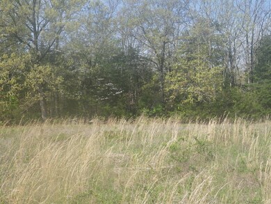 Beautiful Open Areas