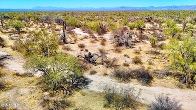 0 E Florence-Kelvin Hwy #2 10 Acre --, Florence, AZ 85132 - photo 2