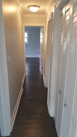 2407 Meadow Dr, Rolling Meadows, IL 60008 - photo 4