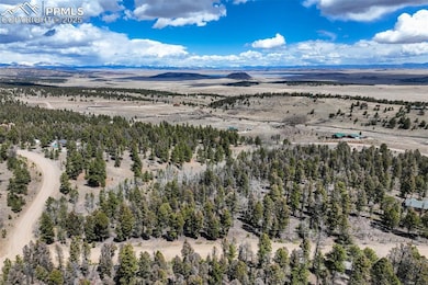 1430 Singletree Rd, Hartsel, CO 80449 - photo 4