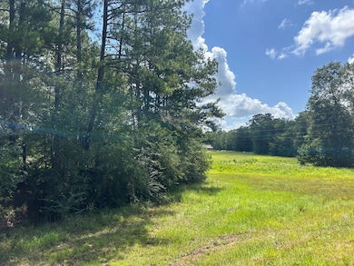 TBD Hwy 570 River Road N Shell Oil Rd, Summit, MS 39666 - photo 7