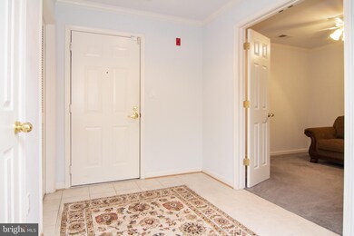 4700 Coyle Rd unit 101, Owings Mills, MD 21117 - photo 4