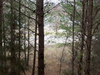 0 Hidden River Ln 50 Ac, Sparta, TN 38583 - photo 3