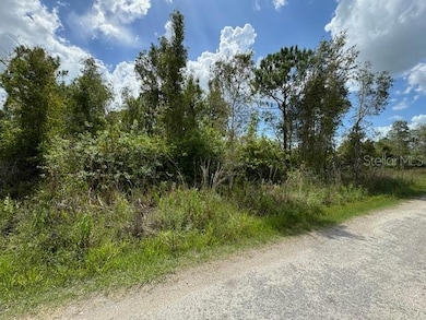 29460 Clara Dr, Punta Gorda, FL 33982 - photo 4