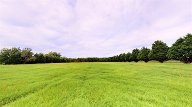 40 Lamb Rd, Ashburn, GA 31714 - photo 6