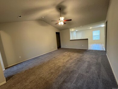 3357 Wilshire Blvd, Benton, AR 72019 - photo 3