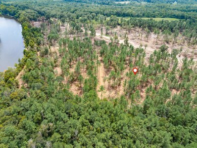 1.01 Mol Ac Old Hwy 24 Parcel 15, Mc Lain, MS 39456 - photo 7