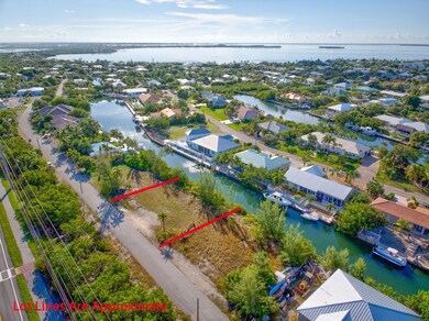 Aerial with Lot Lines