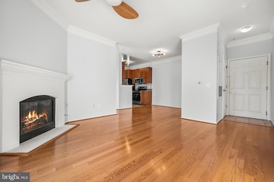 1570 Spring Gate Dr unit 7213, McLean, VA 22102 - photo 6
